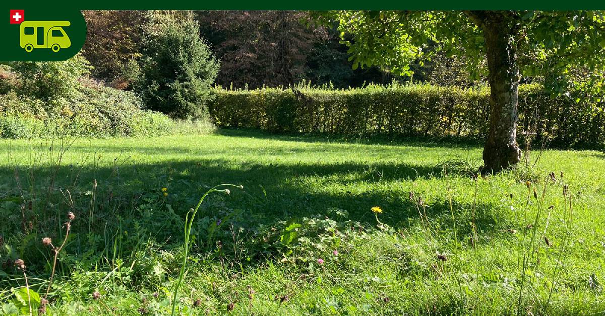 Stellplatz Wildenau - Stetten photo 4