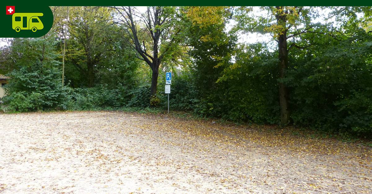 Stellplatz Bootssteg - Grenchen photo 4